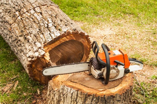 Tree Cutting Service in White Lake